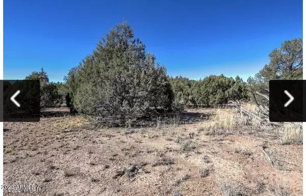Clay Springs, AZ 85923,4683 S WHITE MOUNTAIN Road #-
