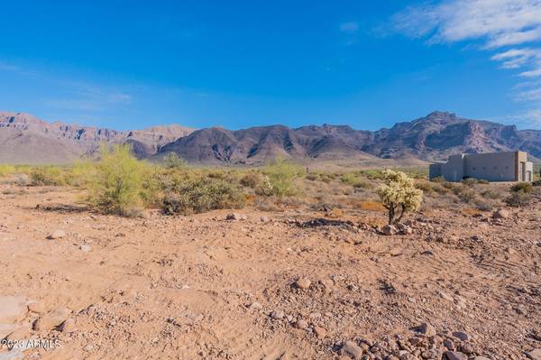 Gold Canyon, AZ 85118,0 E Bunny Ear Lane #Lot 4-A