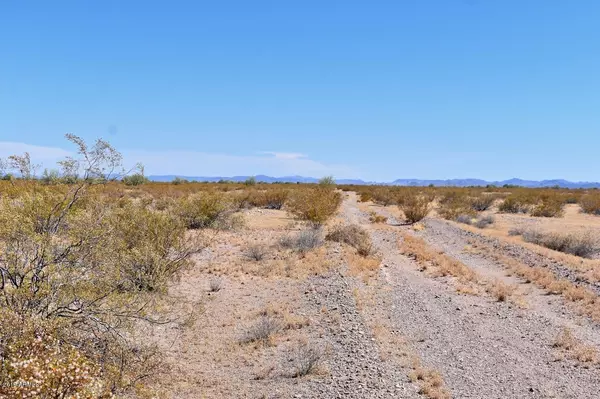 Gila Bend, AZ 85337,606 S 299th Avenue #-