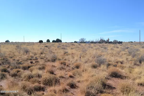 Snowflake, AZ 85937,8415 CHAROLAIS Trail #015B