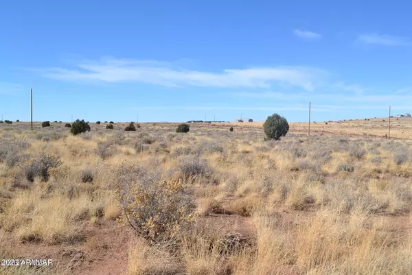 8415 CHAROLAIS Trail #015B, Snowflake, AZ 85937