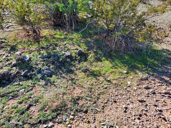 Maricopa, AZ 85139,0 W Lantern Road #-