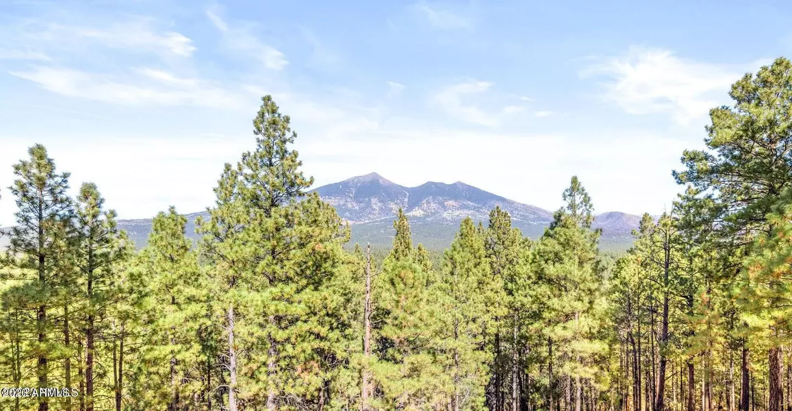 5231 HIDDEN HOLLOW Road, Flagstaff, AZ 86001