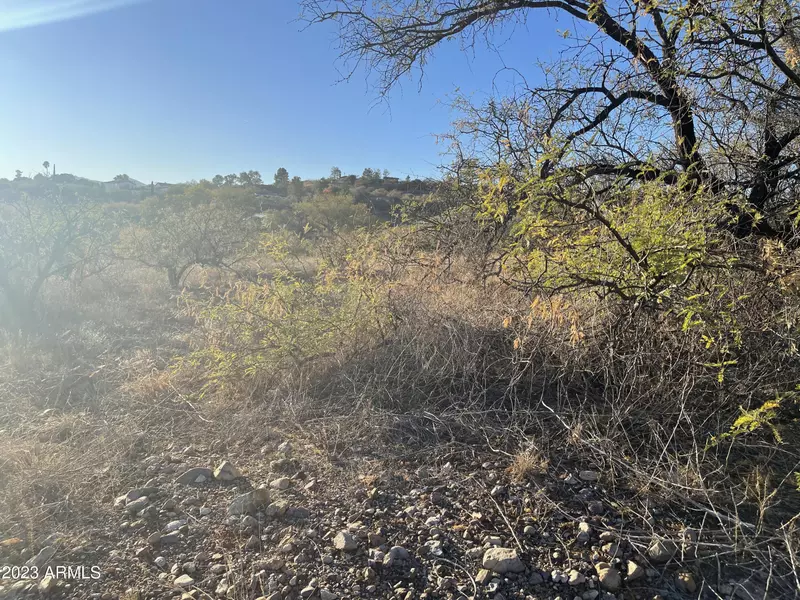 1205 CIRCULO AGUILAR -- #17, Rio Rico, AZ 85648