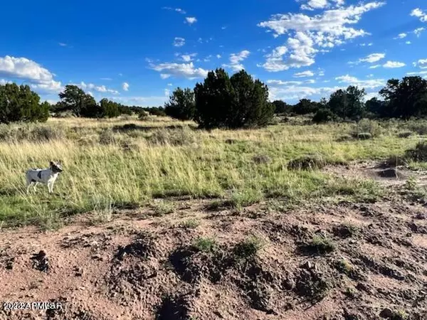 St Johns, AZ 85936,40 Co Rd 6488 -- #-