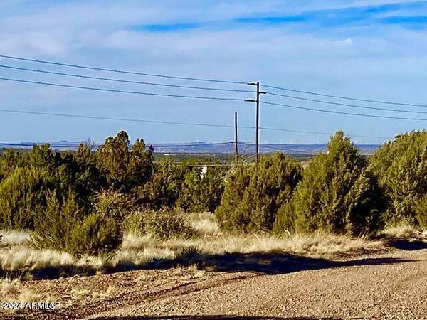 Show Low, AZ 85901,1766 Silver Lake Boulevard #-