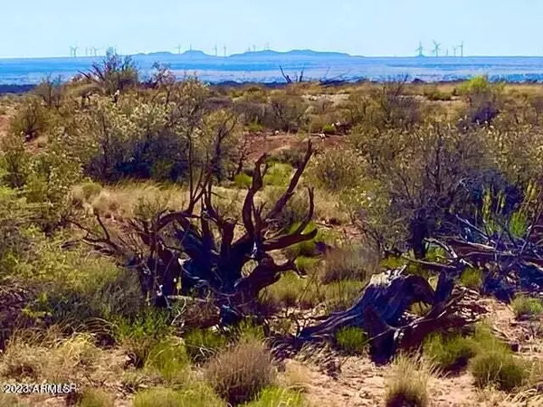 Willis Hill Trail #-, Snowflake, AZ 85937