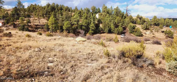 Heber, AZ 85928,1849 PINE CONE Road #59