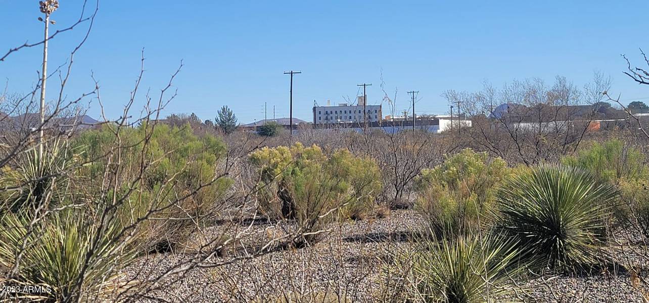 11th Street #'''-''', Douglas, AZ 85607