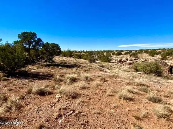 7537 Silver Creek Trail #-, Snowflake, AZ 85937