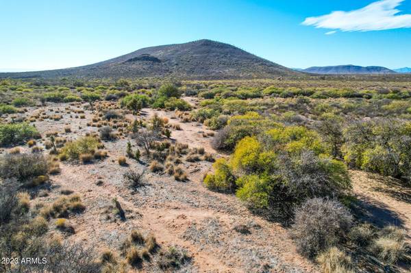 Elfrida, AZ 85610,36 N Saddlebag Trail #42