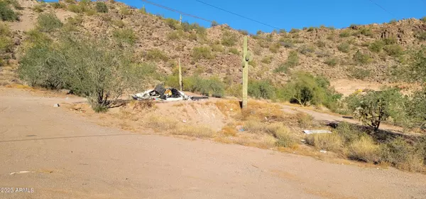 Apache Junction, AZ 85120,620 W TONTO Street #-