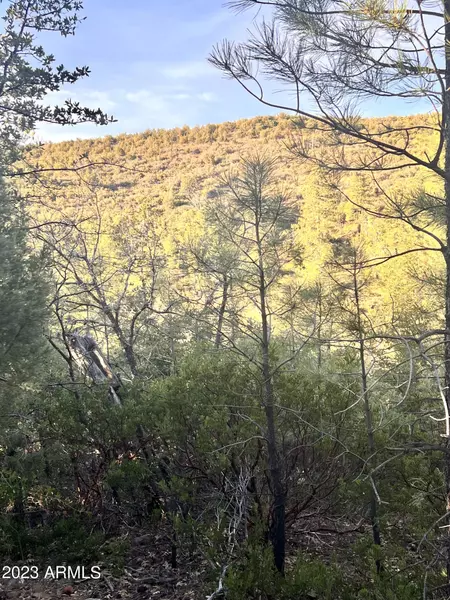 53 Bonita Creek -- #53, Payson, AZ 85541