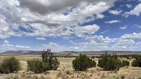 Seligman, AZ 86337,58895 N VALLE Lane