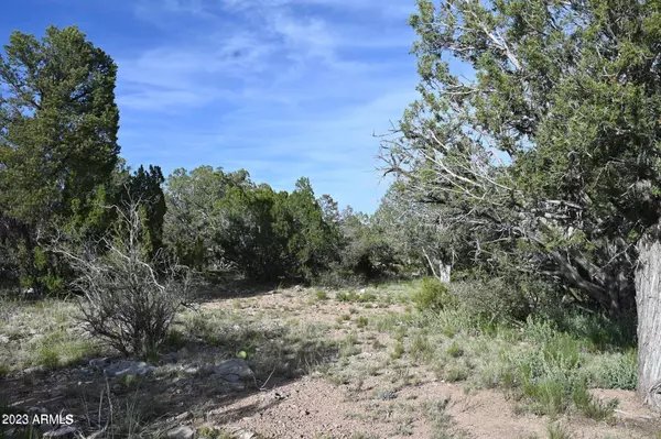 Seligman, AZ 86337,52084 N CALLE CIERVO -- #2064