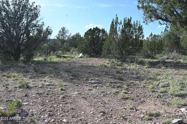 52084 N CALLE CIERVO -- #2064, Seligman, AZ 86337