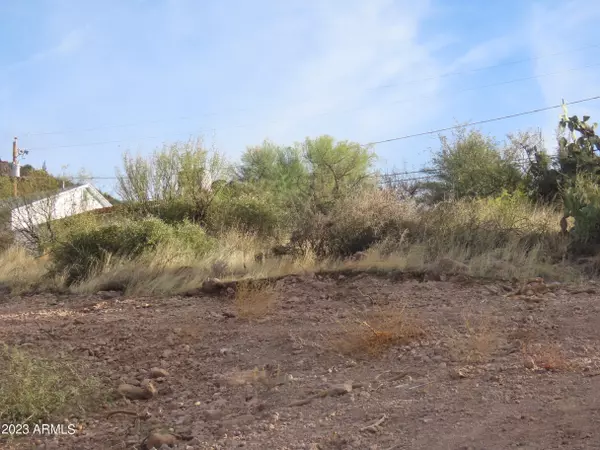 Superior, AZ 85173,270 W Terrace Drive #1