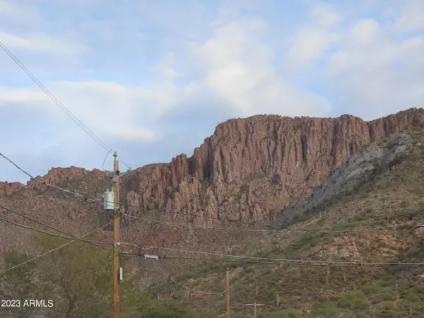 Superior, AZ 85173,270 W Terrace Drive #1