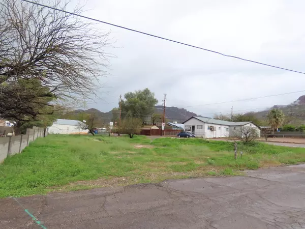 800 W MARTIN A Street #14 &  E 1/2 of 13, Superior, AZ 85173