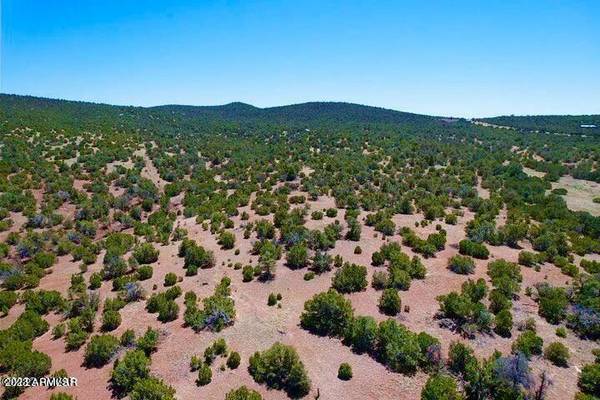 Vernon, AZ 85940,23 Co Rd 3037 -- #-