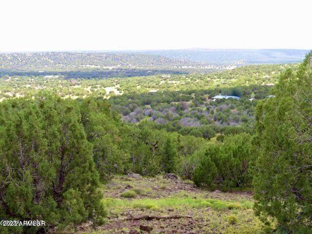 Concho, AZ 85924,Low Pines Unit 10 Lot 382 -- #382