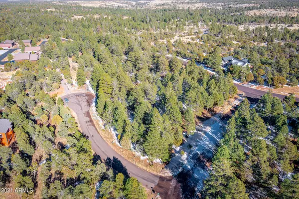 2833 Thunderbolt Circle #207, Overgaard, AZ 85933