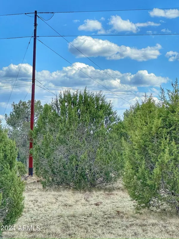 Ash Fork, AZ 86320,1381 W ISABELLA Lane #1381