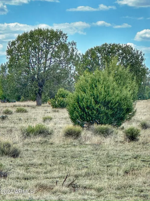 Ash Fork, AZ 86320,1381 W ISABELLA Lane #1381