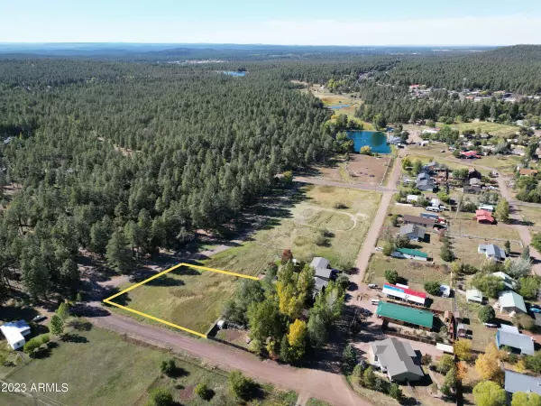 2445 S Jan Lane #61, Pinetop, AZ 85935