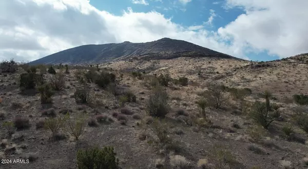 Dolan Springs, AZ 86441,1 W Cottonwood Road #3,9,16,15,21,26,34