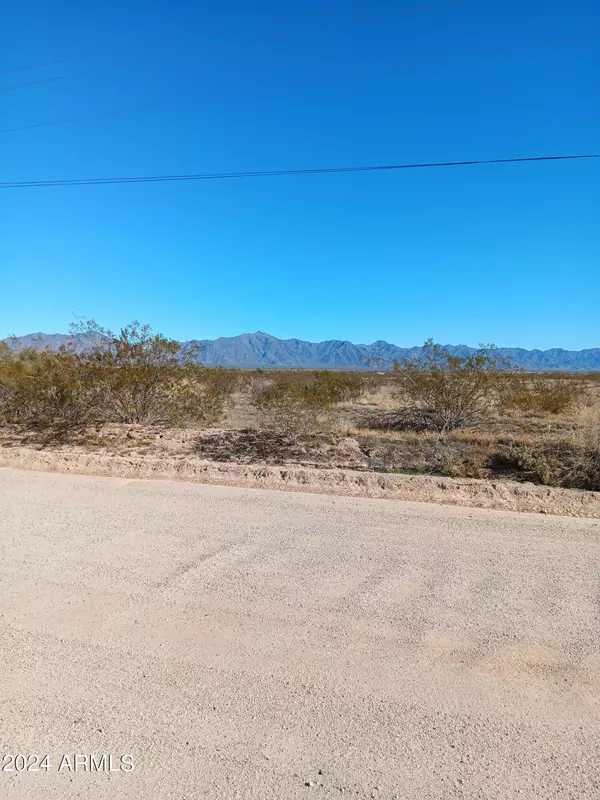 Buckeye, AZ 85326,25900 S RAINBOW VALLEY Road #-