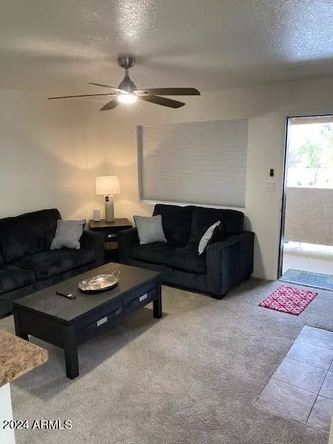 Mesa, AZ 85207,234 N 75TH Street #244