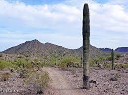0 W ADOBE DAM Road #4A, Queen Creek, AZ 85144