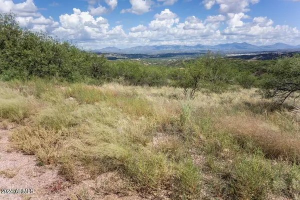 Rio Rico, AZ 85648,1227 Calle Cherokee -- #44