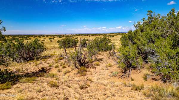 Sanders, AZ 86512,W County Rd 7393 -- #lots 331, 332