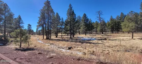 Williams, AZ 86046,358 Cooper Ranch Road #-