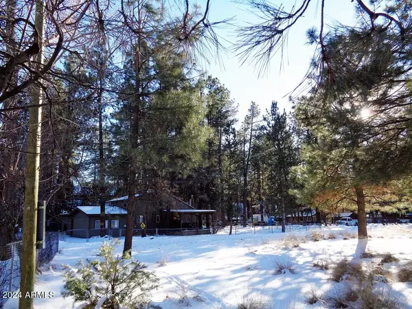 Pine, AZ 85544,8584 W ELK Road #49