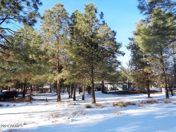 Pine, AZ 85544,8584 W ELK Road #49