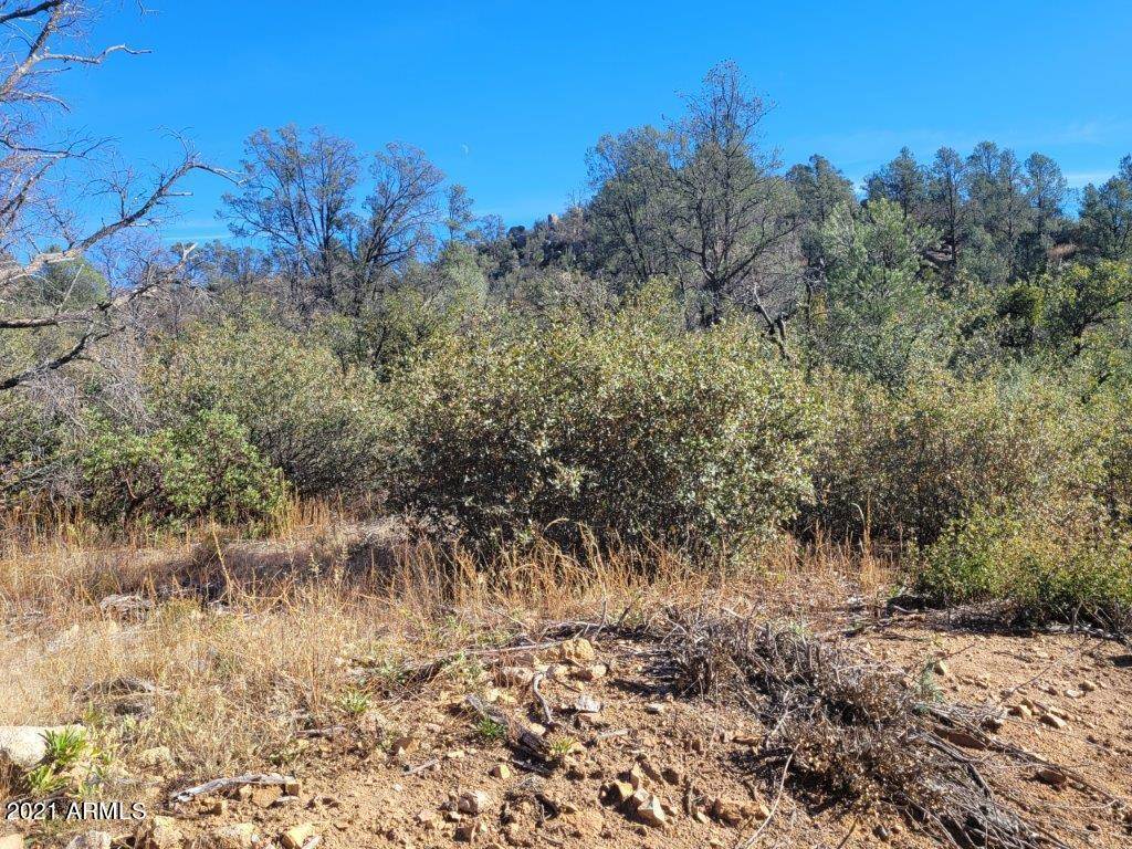 Kirkland, AZ 86332,105 S Camp  Cook Trail #105