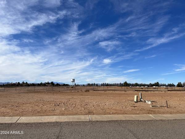 Douglas, AZ 85607,3650 N CAMINO DEL RANCHO -- #21