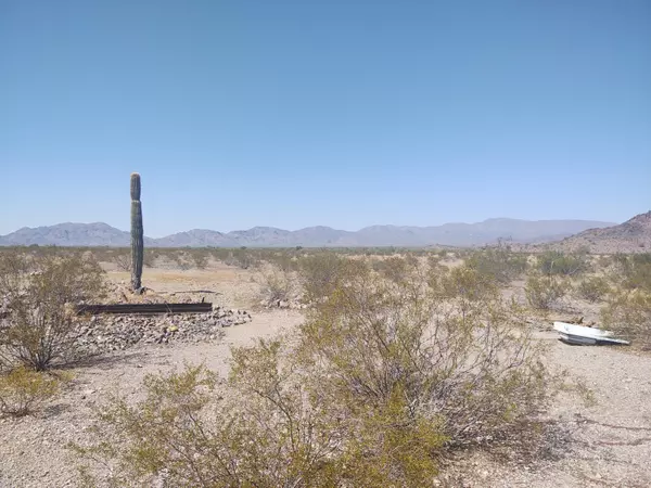 Salome, AZ 85348,0 N Red Hill Road #10