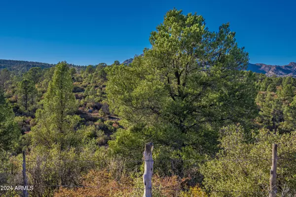 Peeples Valley, AZ 86332,2 Blue Sky Drive -- #B