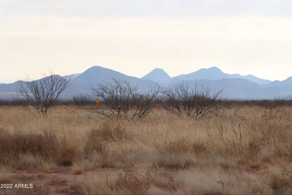 Elfrida, AZ 85610,4445 N Double u ranch -- #44