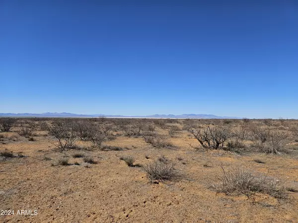 Willcox, AZ 85643,169 Chiricahua Trail Ranches Pione -- #169