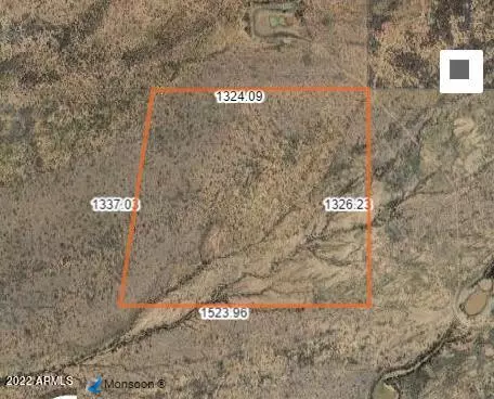 Willcox, AZ 85643,169 Chiricahua Trail Ranches Pione -- #169