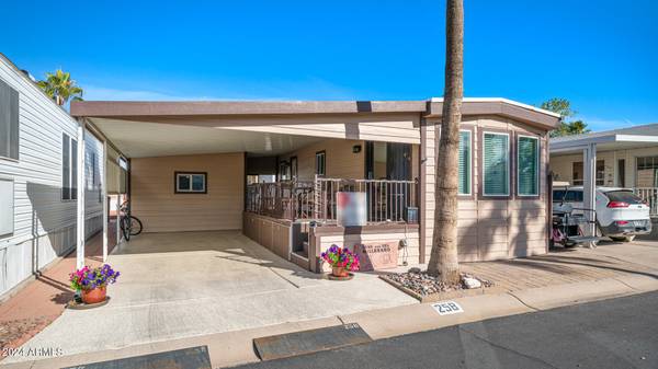 Apache Junction, AZ 85119,258 BERYL Drive #258