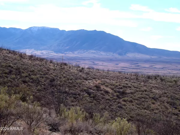 Bisbee, AZ 85603,1 W Red Mountain Road #1