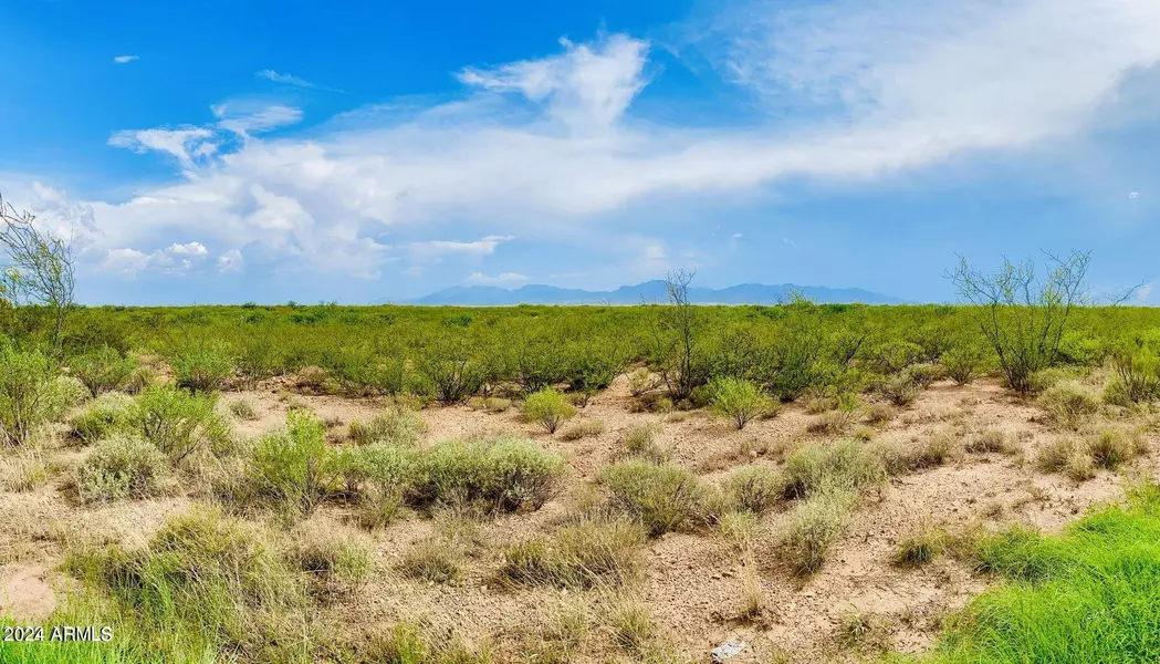 Ronald Reagan Parkway -- #-, Whetstone, AZ 85616