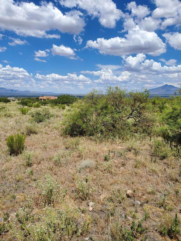 Hereford, AZ 85615,S Lot 50, Rancho Sierra Grande Road #50