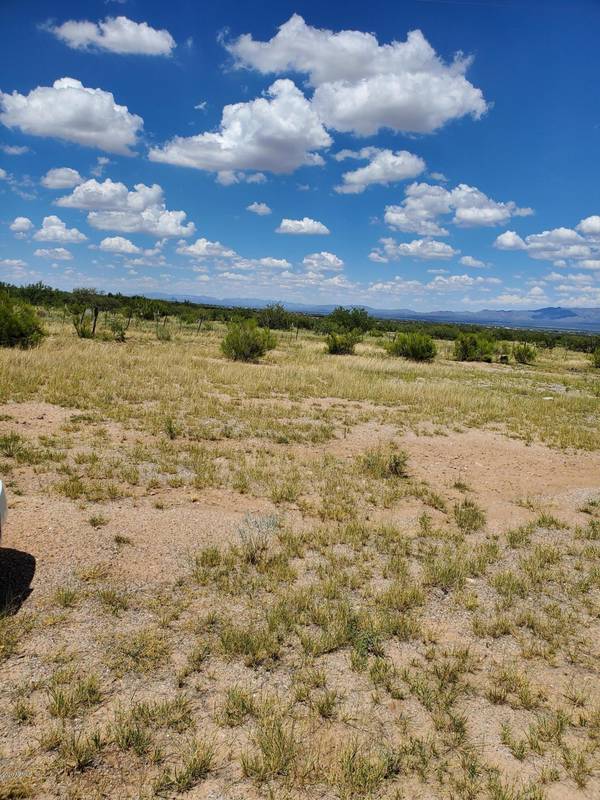 Hereford, AZ 85615,S Lot 50, Rancho Sierra Grande Road #50